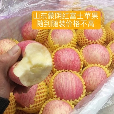 【红富士苹果】常年供应随时有货,质量可靠,诚信报价