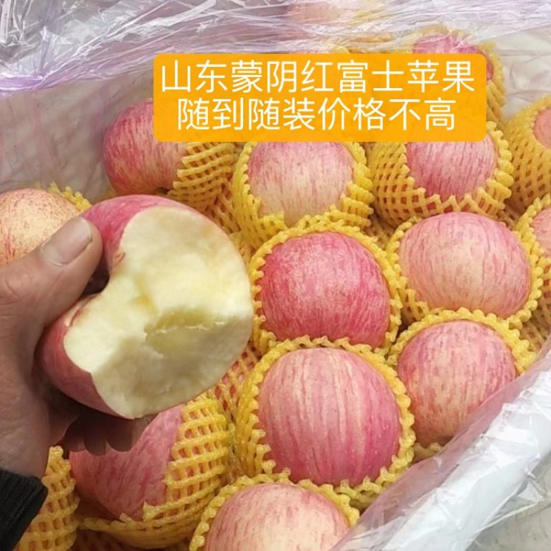 【红富士苹果】常年供应随时有货，质量可靠，诚信报价