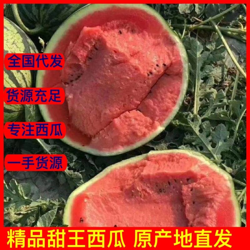 甜王西瓜，安徽甜王西瓜，产地直销一手货源对接全国包质量