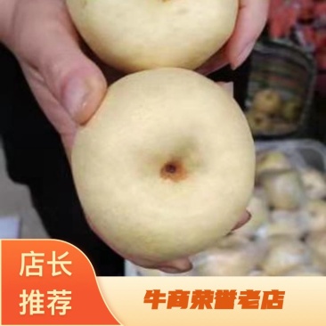 陕西酥梨大量上市，皮薄肉细胡小纯甜，对接欢迎客商电商合做