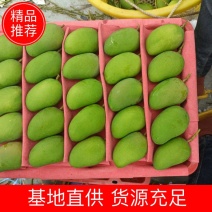 海南精品海南一级台芒口感上乘现摘现发货源充足价格便宜