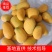 海南精品热带水果一级台龙芒果货源充足价格美丽