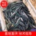 仿野生精品黑花黑鱼苗，保证品种质量，成活率高抗病能力强