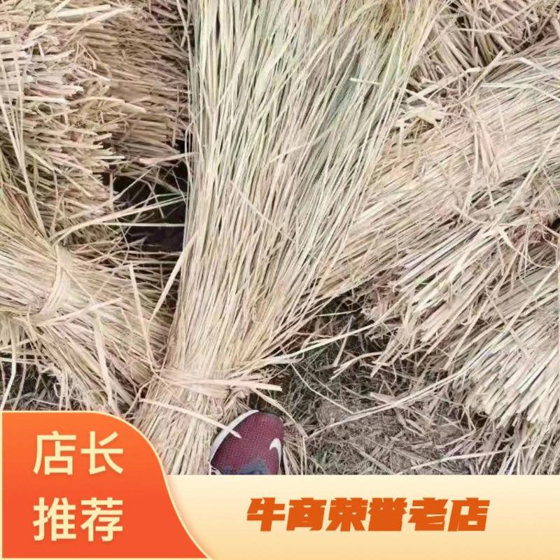 稻草草料长期供应稻草等各种草料量大优惠保证质量