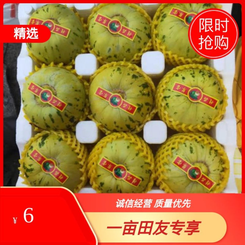 辽宁北镇花蕾绿宝61头茬甜瓜大量上市产地直供质量保证