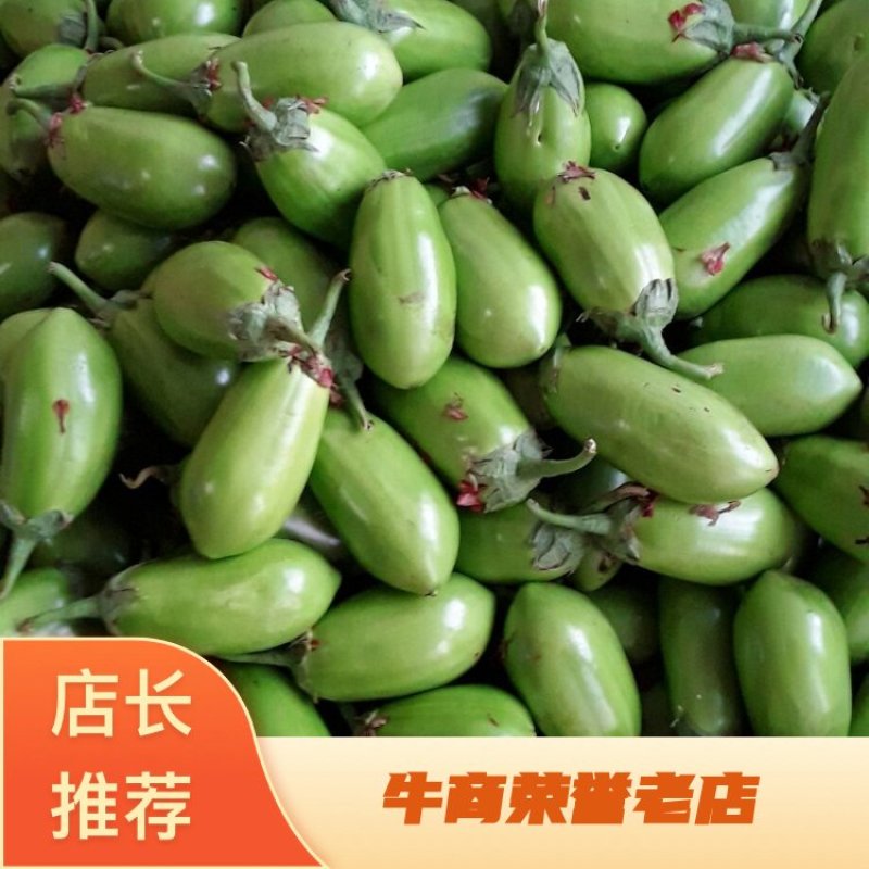 圆茄