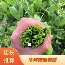 豌豆苗四川高山豌豆苗产地发货货源充足质量支持
