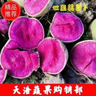 心里美萝卜，油炸，电商，市场，加工厂，，