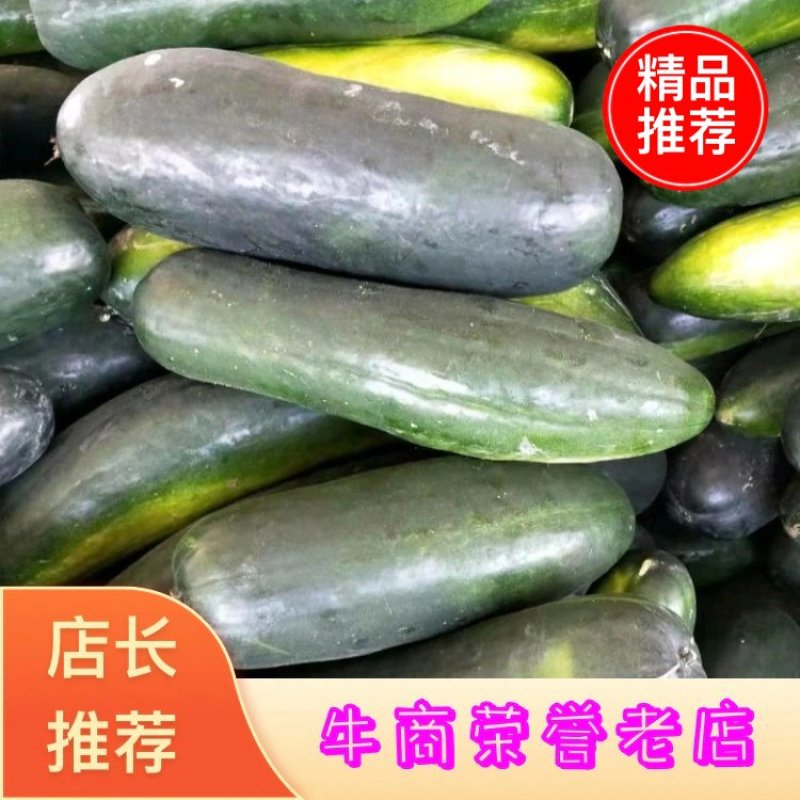 黑皮冬瓜墨地龙黑皮冬瓜产地直销，量大优惠，包质包量。
