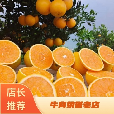 优选橙子，九月红，口感好，入口即化欢迎选购！