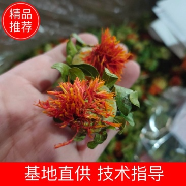 红花朵菠萝花今年新货一件20斤地摊热销产品量大从优