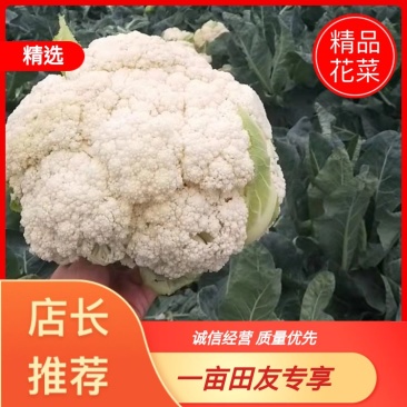 温州有机花小米粒面白商超电商货源充足全国发货