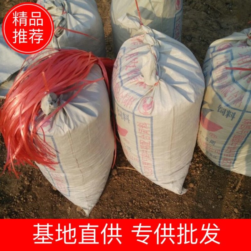 畜禽粪便鹌鹑粪大量出售一手货源需要老板联系