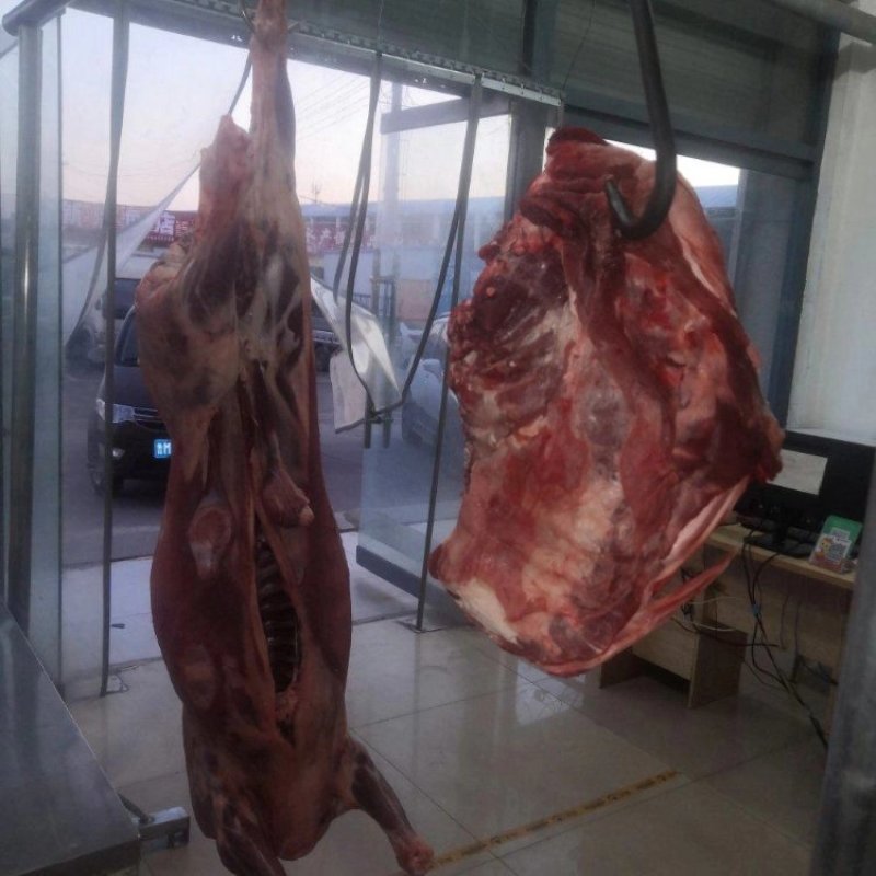 新鲜羊酮体剃肉酮体当天发货全国直达一手货源基地直发
