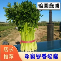 【🔥推荐】山东禹城法国皇后芹菜60cm以上现摘现发质量保证