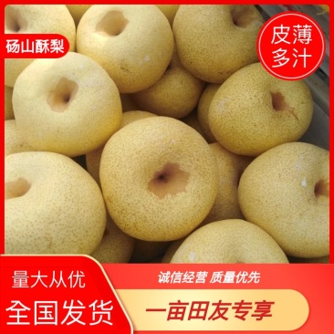 【梨】砀山酥梨产地直发皮薄多汁坏单包赔全国发货