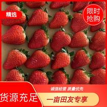 红颜草莓：丹东99草莓，支持定制，一手货源，欢迎进店选购