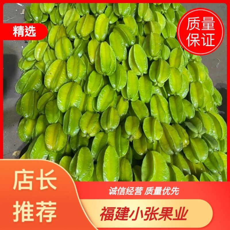 【精选】福建杨桃自然成熟清甜多汁保质保量