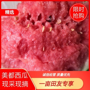 【美都西瓜】产地西瓜新鲜应季暴甜多汁量大从优