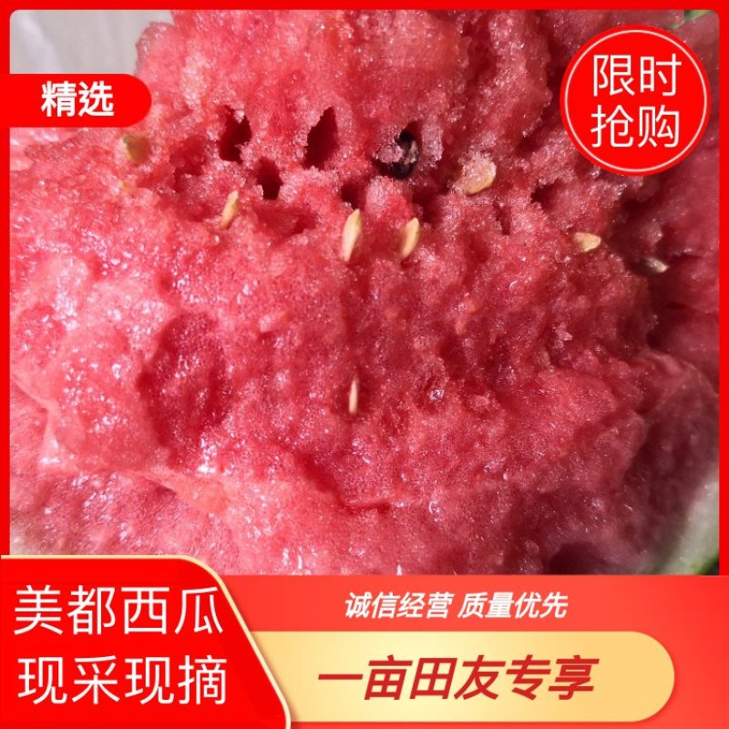 【美都西瓜】产地西瓜新鲜应季暴甜多汁量大从优