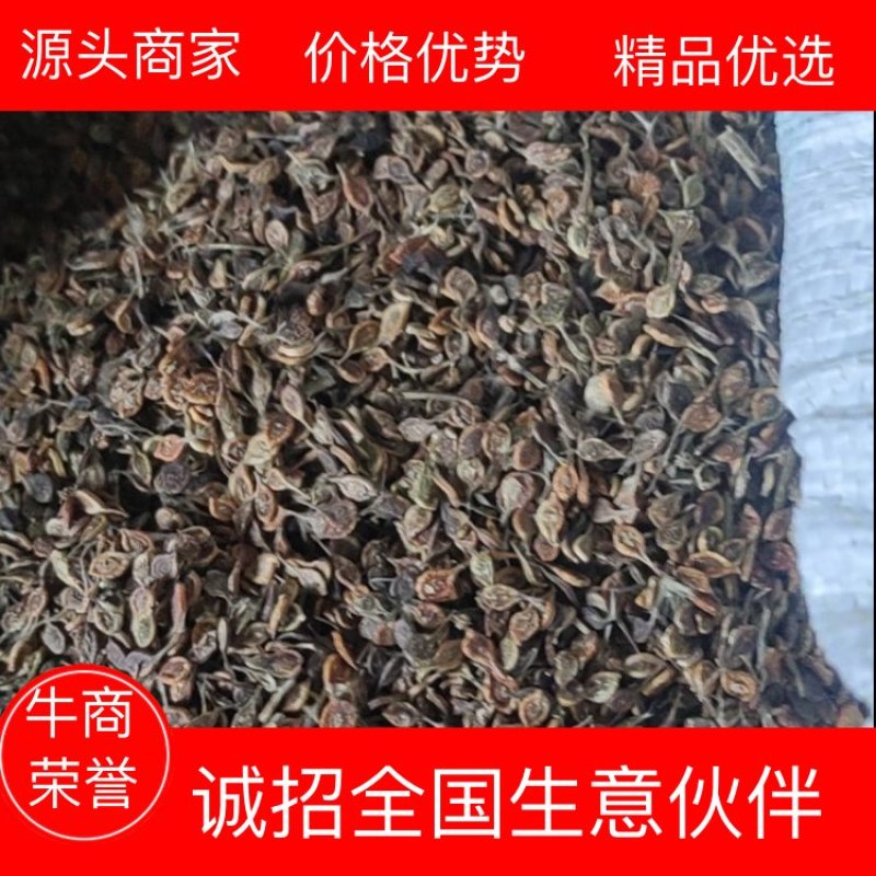 《推荐》出售东北地区优质威灵仙种子，颜色好，价格便宜！