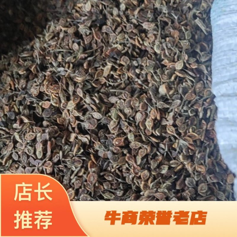 《推荐》出售东北地区优质威灵仙种子，颜色好，价格便宜！