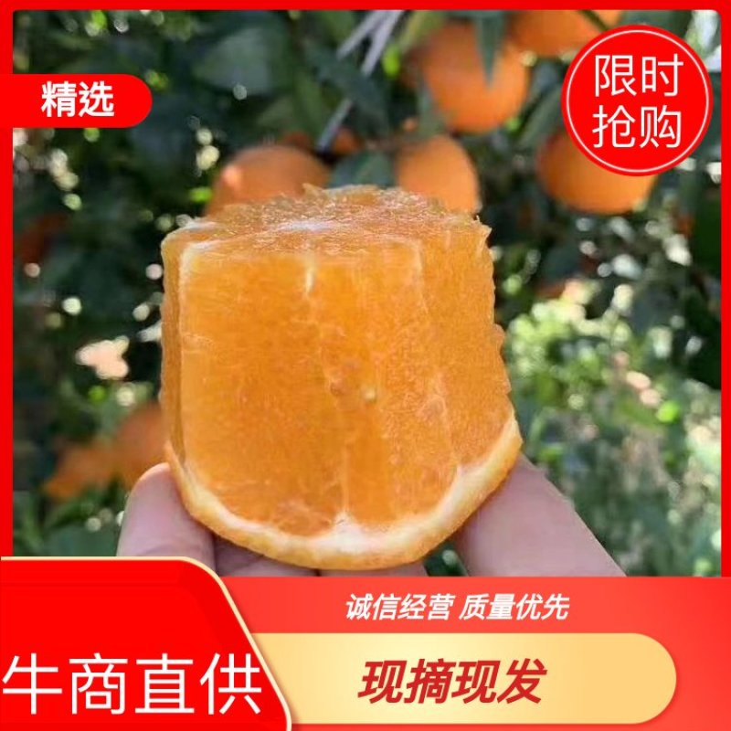 云南宾川高山精品沃柑千亩基地大量上市口感鲜美适合储存