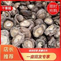 【推】香菇小菇冬菇肉厚质量好供货量充足欢迎咨询