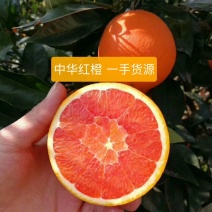 【橙子】血橙，中华红橙，皮薄多汁量大从优坏果包赔