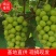 阳光玫瑰精品阳光玫瑰产地直销精品阳光玫瑰