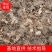 改良白术种苗,产地直发,价格实惠,欢迎进店选购