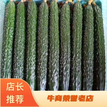 山东精品密刺黄瓜，黄瓜扭腌制用社区团购电商**