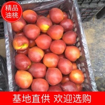 中油油桃，大量上市，货源充足，欢迎电商，批发市场老板来购