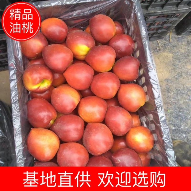 中油油桃，大量上市，货源充足，欢迎电商，批发市场老板来购