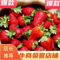 【推荐【丹东九九草莓产地直发品质保证诚信经营欢迎老板