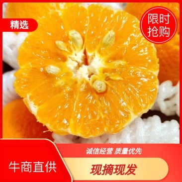 【荐】云南精品沃柑皮薄肉厚香甜可口农户直发视频看货