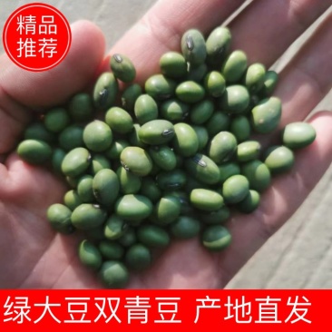 双青豆绿大豆大粒小粒做酱菜做烘培做豆腐做炒货