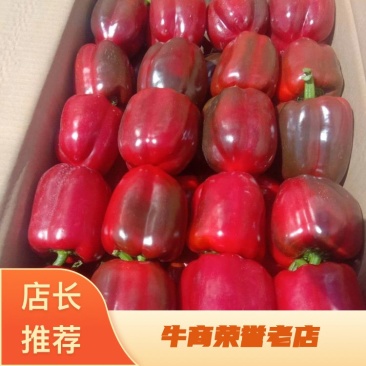 精品圆红椒基地直供货源充足欢迎订购量大优惠