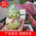 [人参果]诚招代理(一件代发，产地直供)