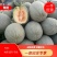 西州蜜瓜(哈密瓜)个头均匀3斤以上长圆形