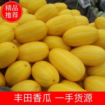 丰田香瓜当地特产1.5斤以上，口感非常香甜润滑