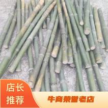 大量实心竹，各种规格，全国各地发货保质保量