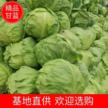 陕西甘蓝圆包菜，一手货源，产地直发，欢迎进店选购