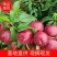 珍珠枣油桃精品油桃离合珍珠枣油桃,枣油桃