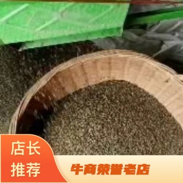 [精选]广西草决明，野生的决明子，基地直供量大从优。