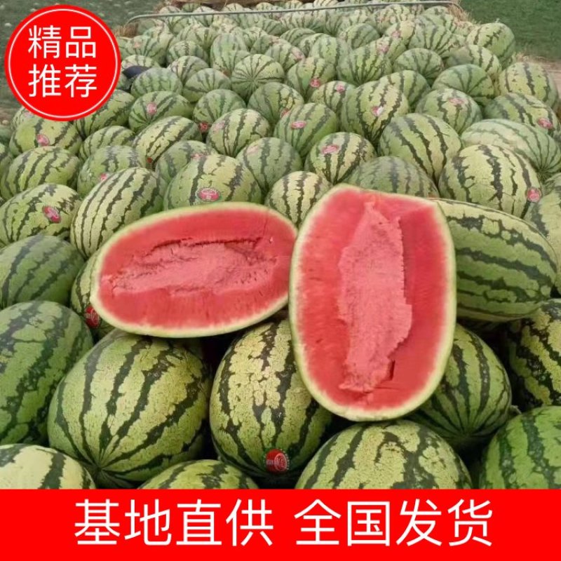 金城5号西瓜新疆产地直发安农金城吐鲁番哈密昌吉西瓜