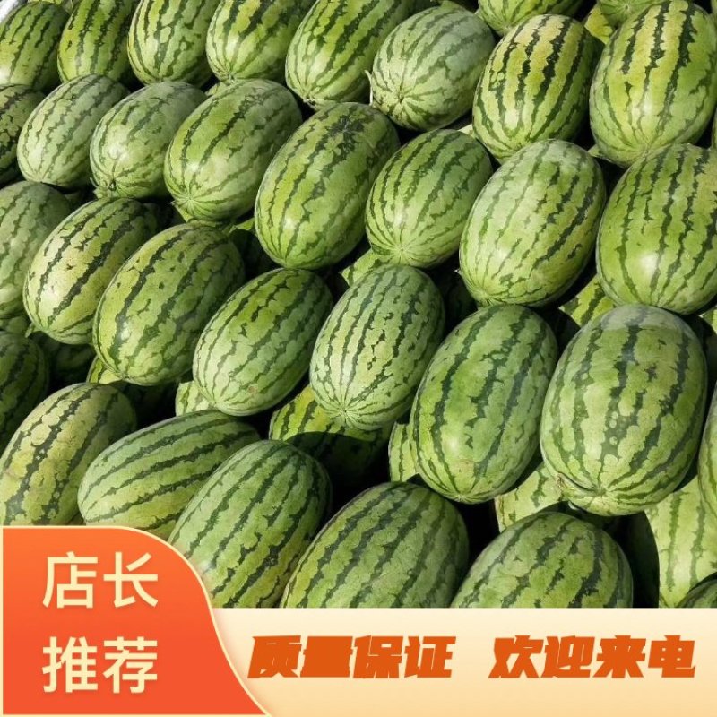 新疆西瓜吐鲁番哈密昌吉安农金城5号双红瓤专业代办全国发货