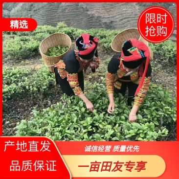 【推荐】云南古树生茶产地直发品质保证自家茶园诚信经营