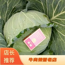 扁包菜1~2公斤精品价格只是精品价格仅供参考