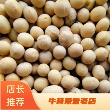 精品大豆，蛋白高，品质好，发货快，10吨起